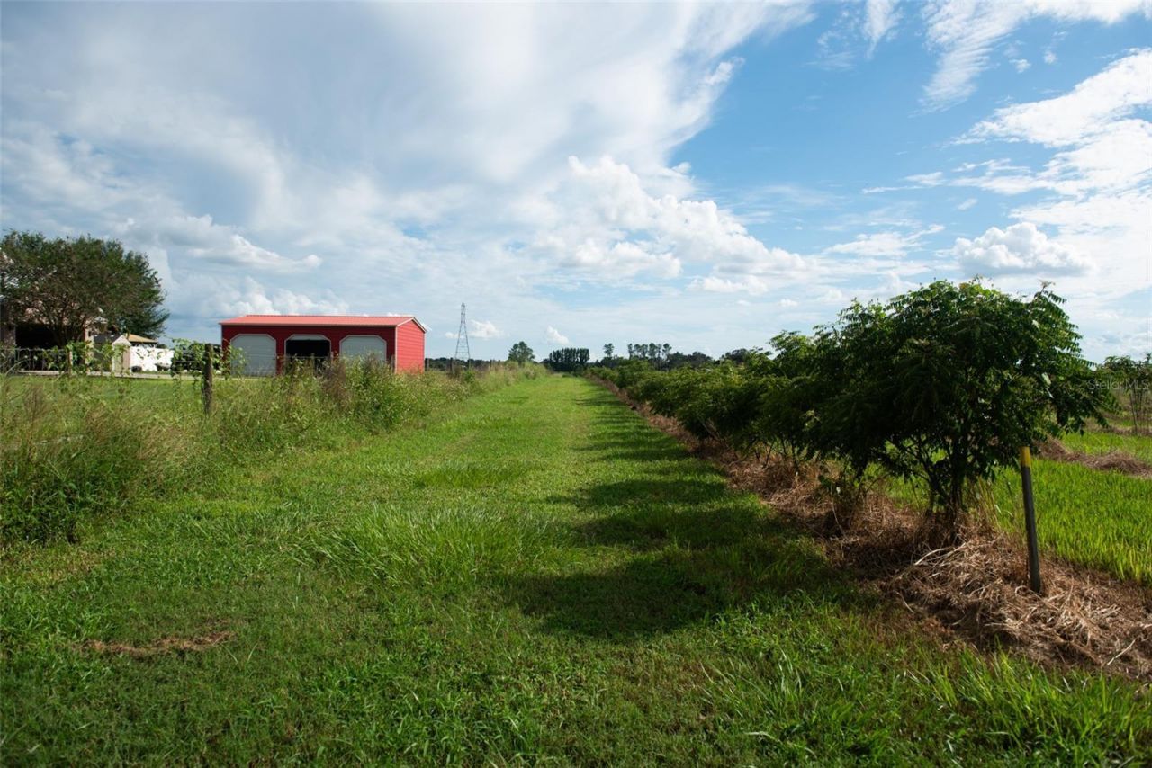 Blanton Acres Road, Plant City, FL 33565 Photo