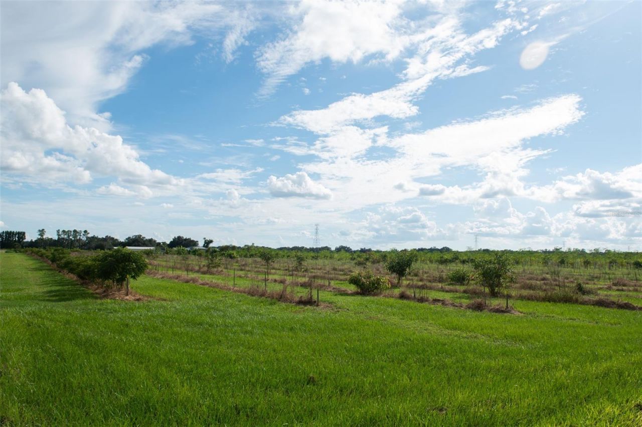 Blanton Acres Road, Plant City, FL 33565 Photo