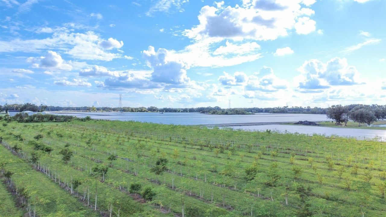 Blanton Acres Road, Plant City, FL 33565 Photo