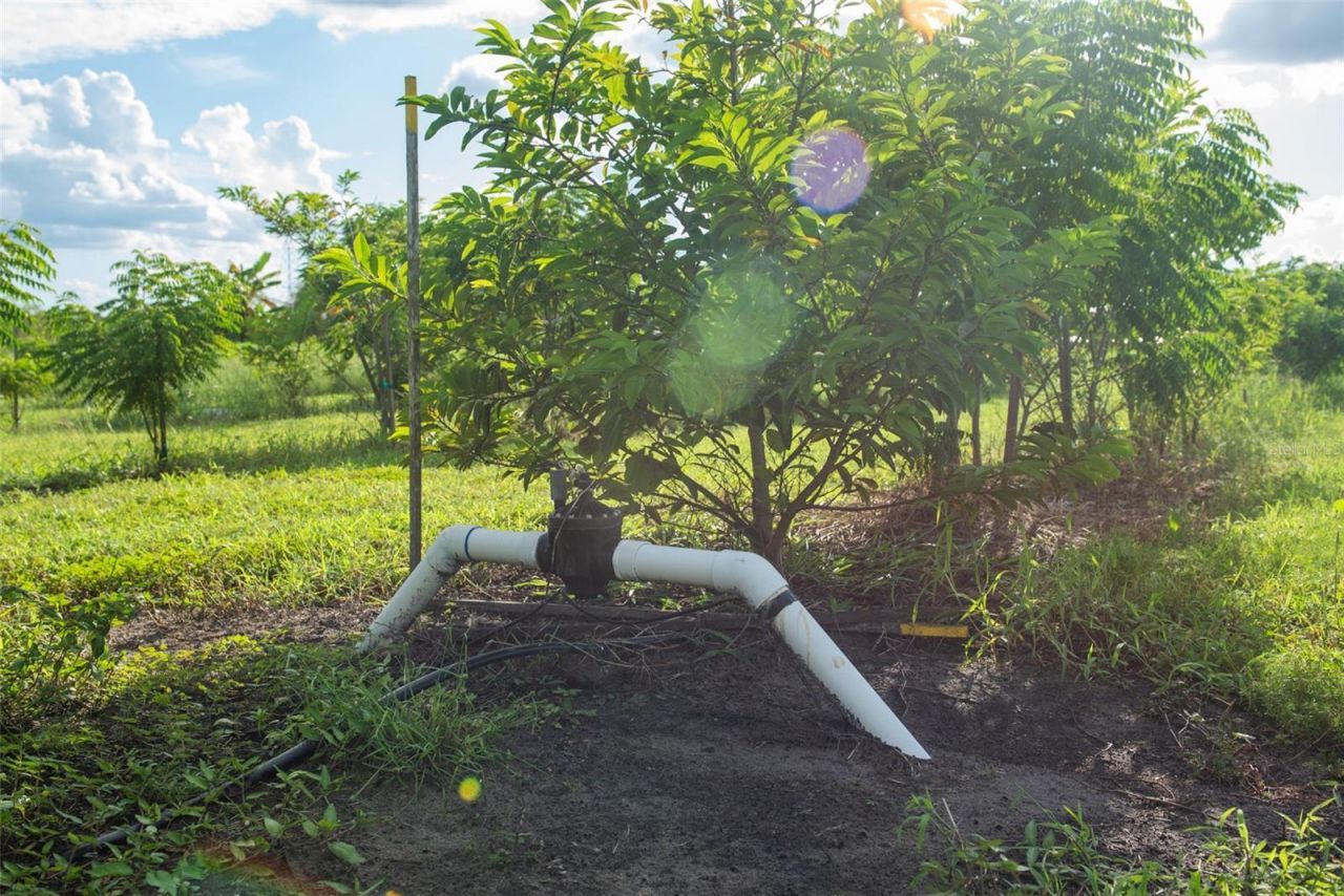 Blanton Acres Road, Plant City, FL 33565 Photo