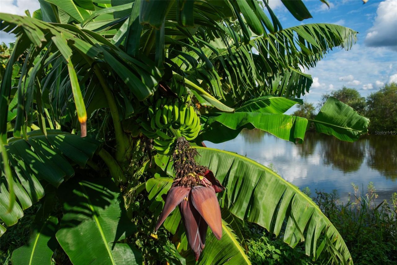 Blanton Acres Road, Plant City, FL 33565 Photo