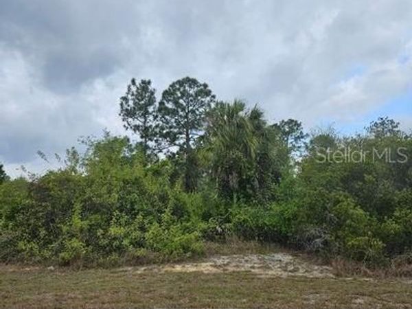 1711 CLAYTON AVENUE, LEHIGH ACRES, FL 33972