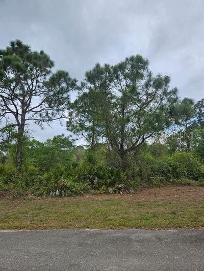 1711 Clayton Avenue, Lehigh Acres, FL 33972 Photo