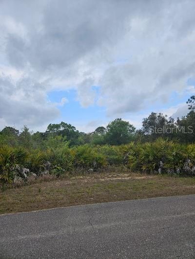 1711 Clayton Avenue, Lehigh Acres, FL 33972 Photo