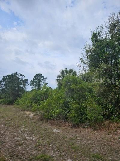 1711 Clayton Avenue, Lehigh Acres, FL 33972 Photo