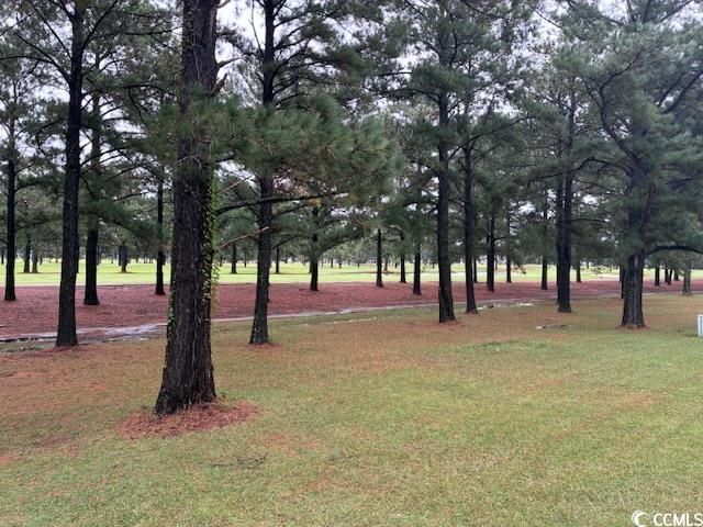 3982 Fairway Lakes Dr. Photo 14