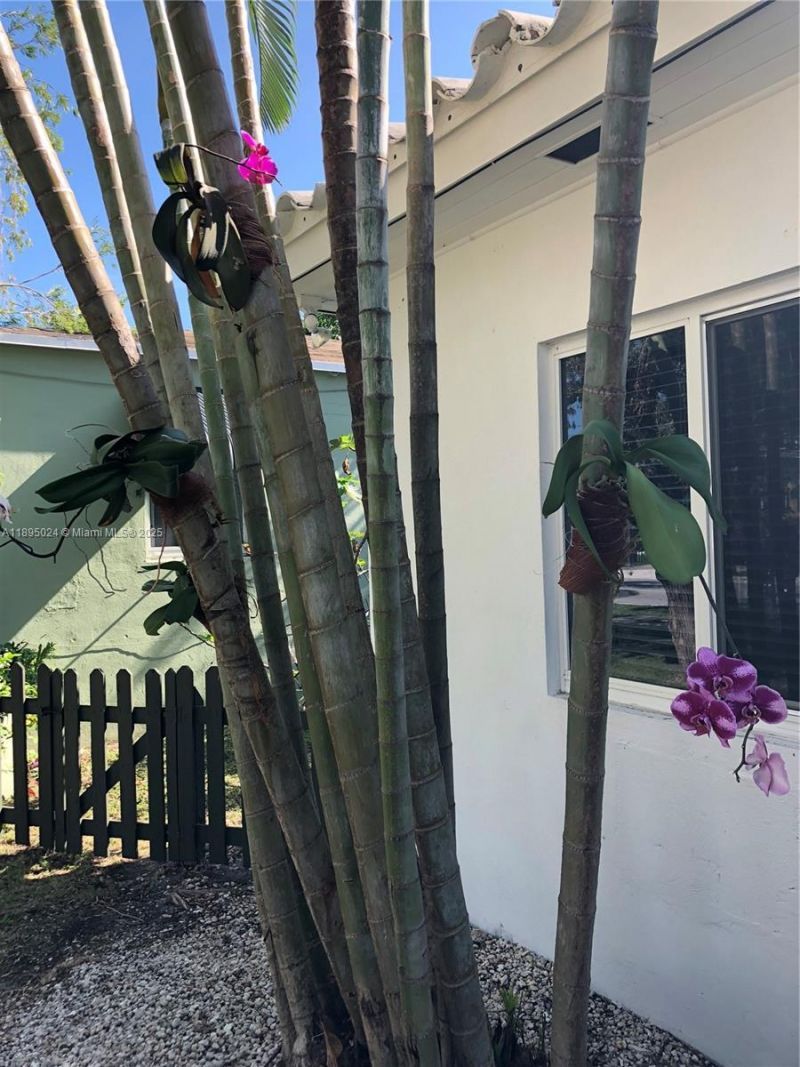 1160 SW 22nd Terrace, Unit 2, Miami, FL 33129 Photo