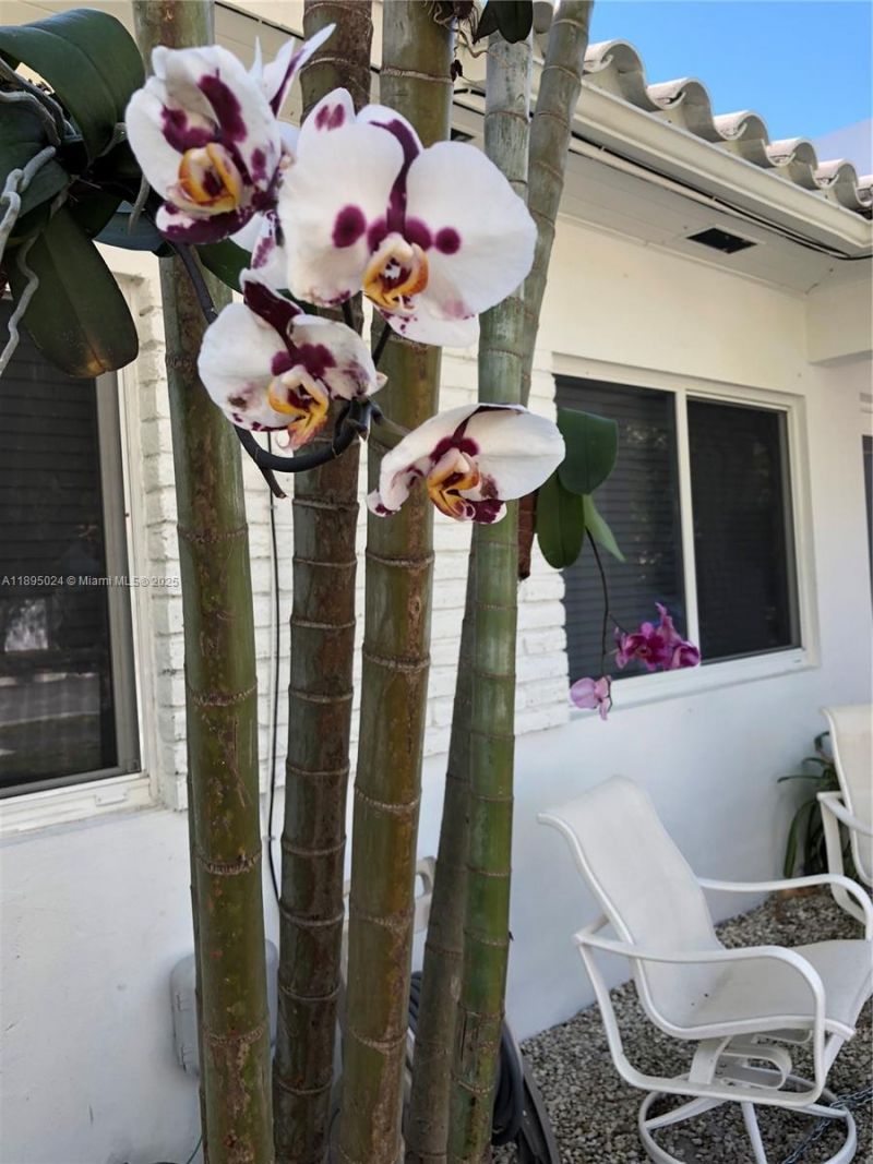 1160 SW 22nd Terrace, Unit 2, Miami, FL 33129 Photo