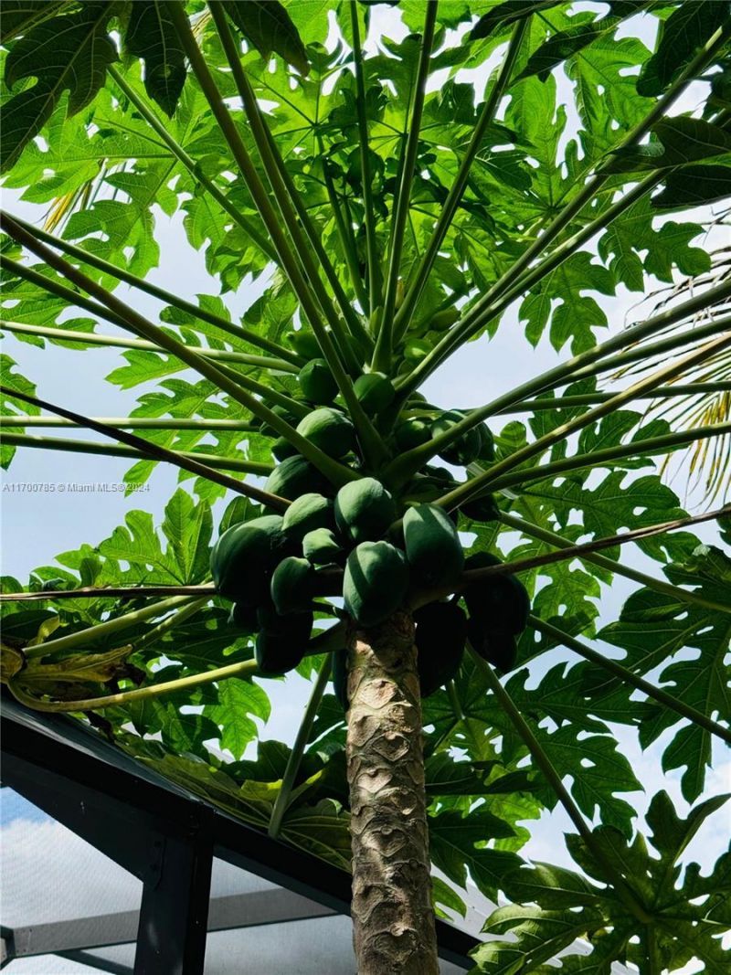 509 NE Solida Cir, Port Saint Lucie, FL 34983 Photo