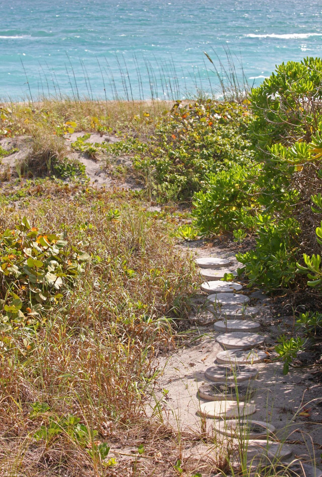 398 S Beach Road, Jupiter Island, FL 33455 Photo