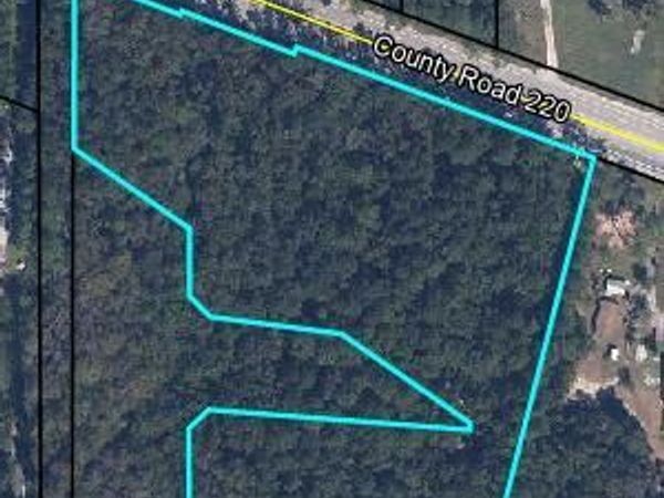 2841 COUNTY ROAD 220, Middleburg, FL 32068