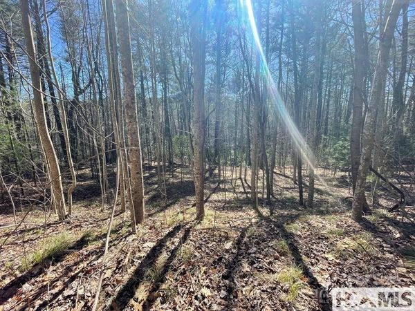 1 Bear Log Road, Cashiers, NC 28717