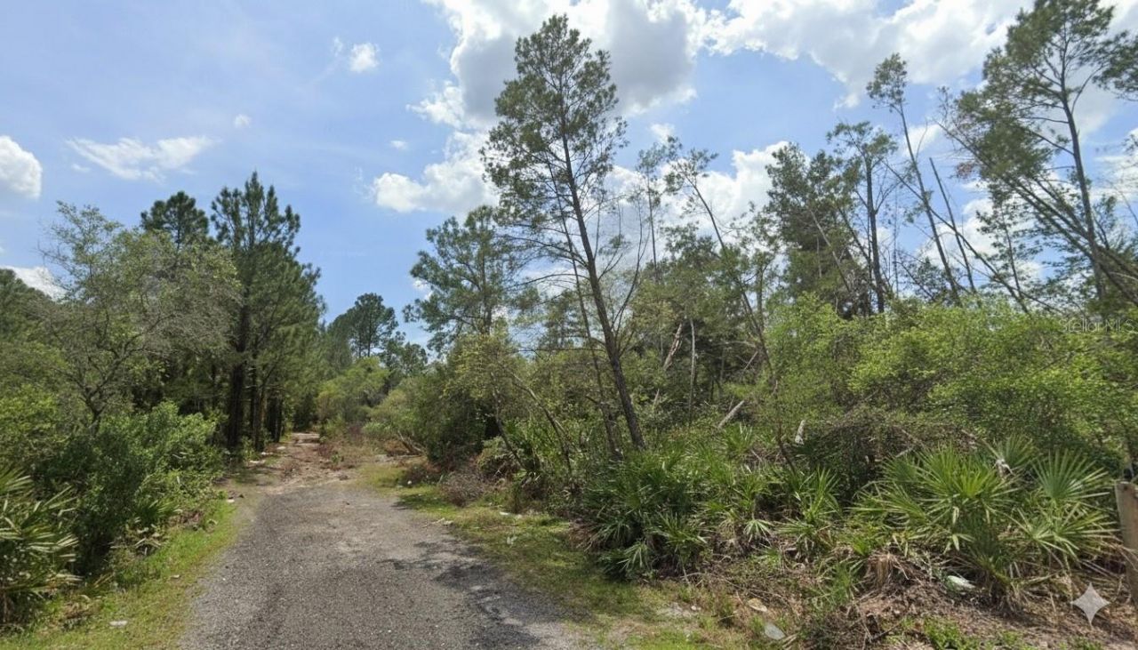 Aster Terrace, Deland, FL 32724 Main Photo