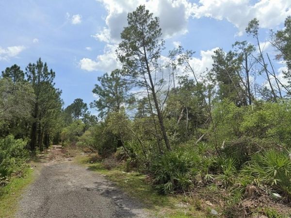 ASTER TERRACE, DELAND, FL 32724