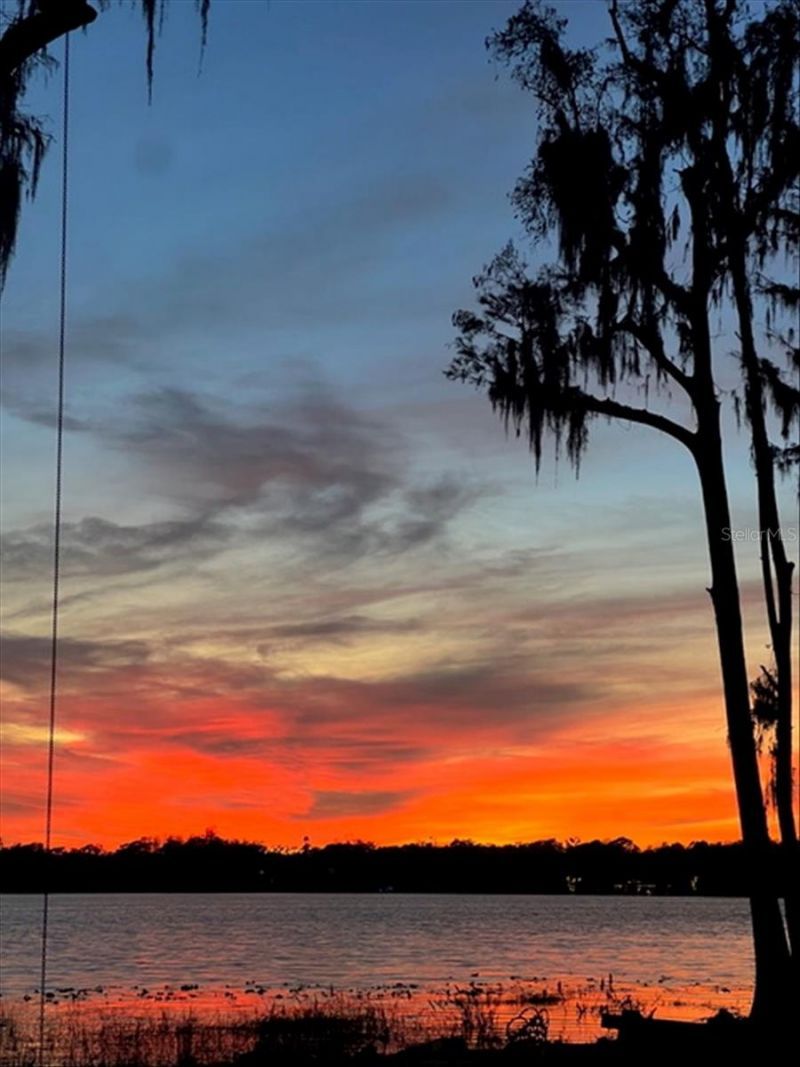 17924 Simms Road, Odessa, FL 33556 Photo