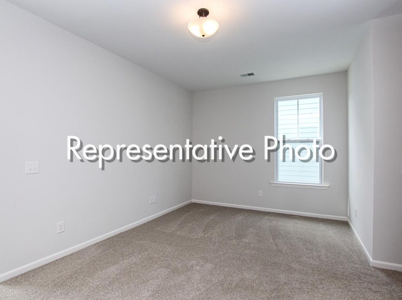 1003 Field Sparrow Drive Photo 14