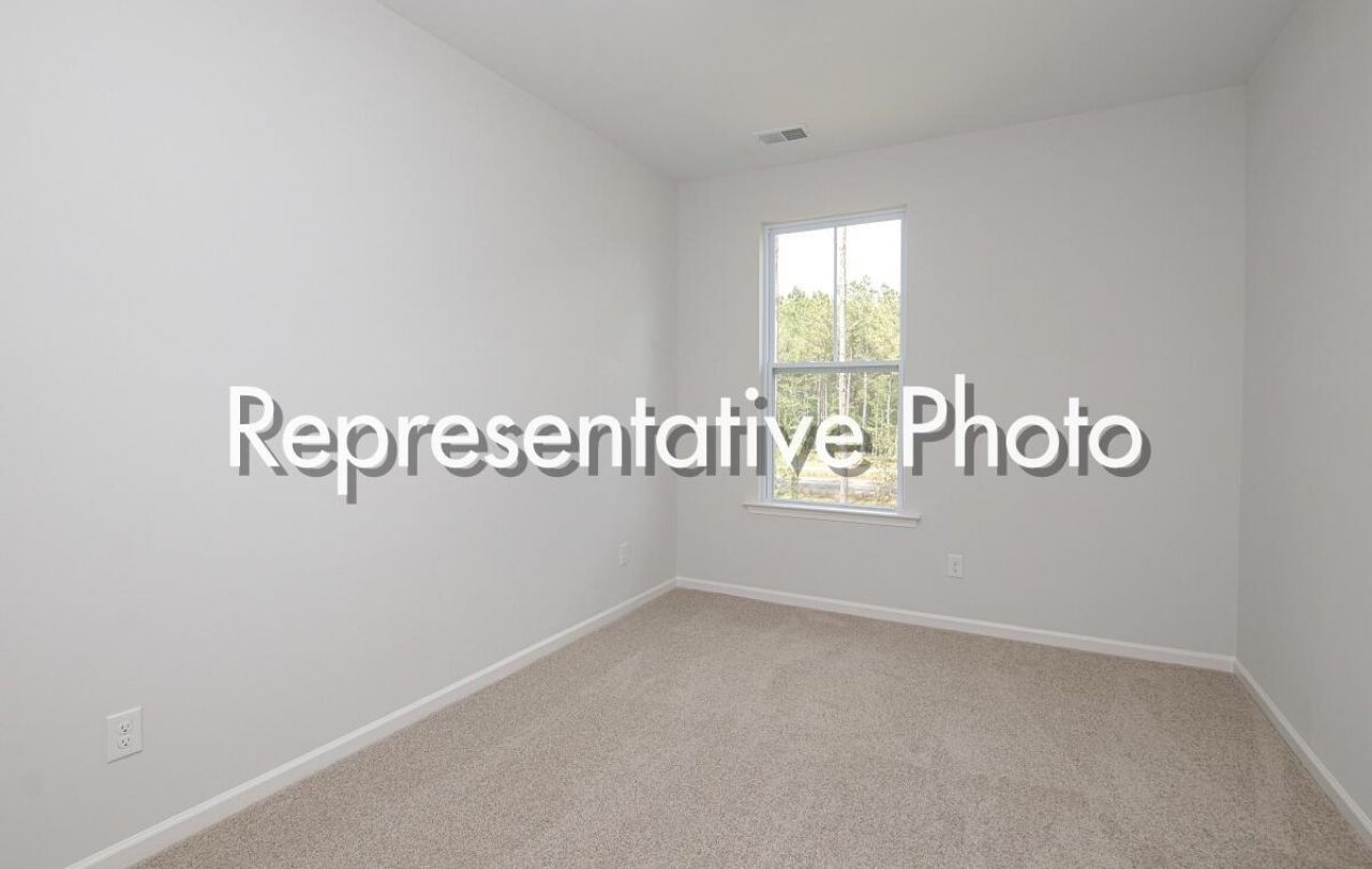 1003 Field Sparrow Drive Photo 17