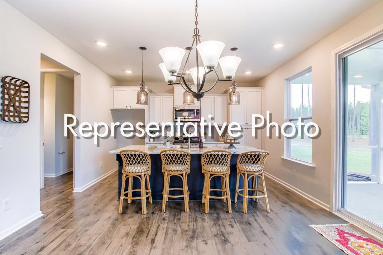 1003 Field Sparrow Drive Photo 3