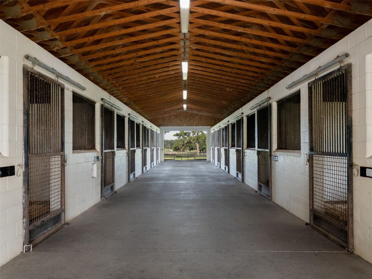 15964 W Highway 318, Williston, FL 32696 Photo