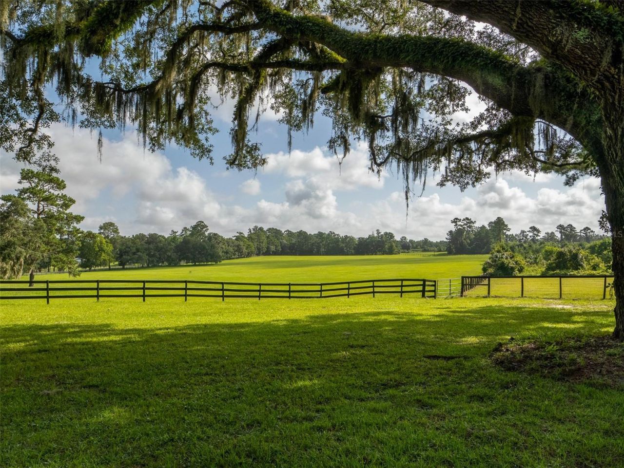 15964 W Highway 318, Williston, FL 32696 Photo