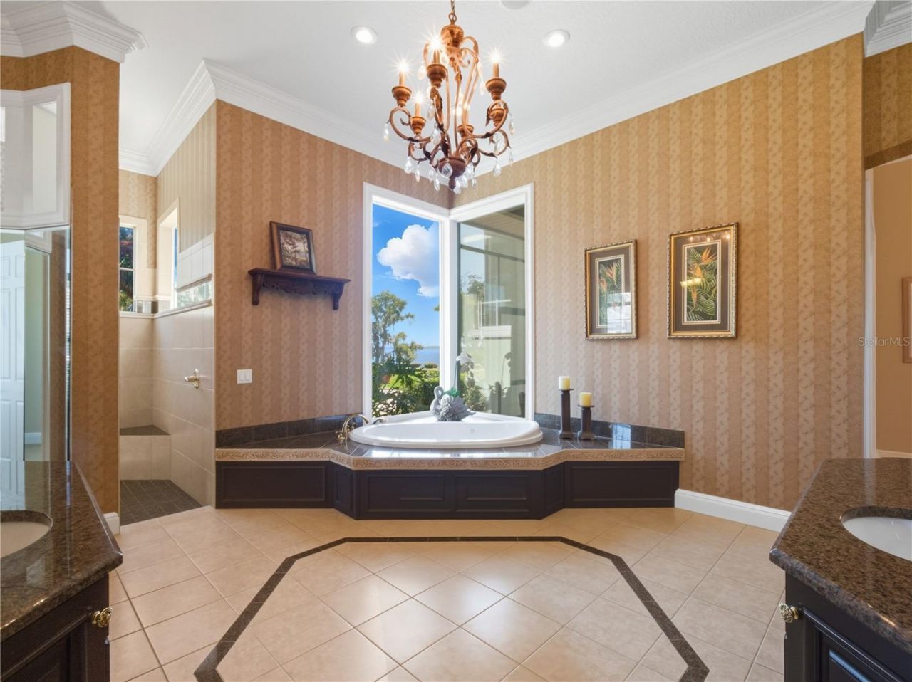 30215 Redtree Drive, Leesburg, FL 34748 Photo