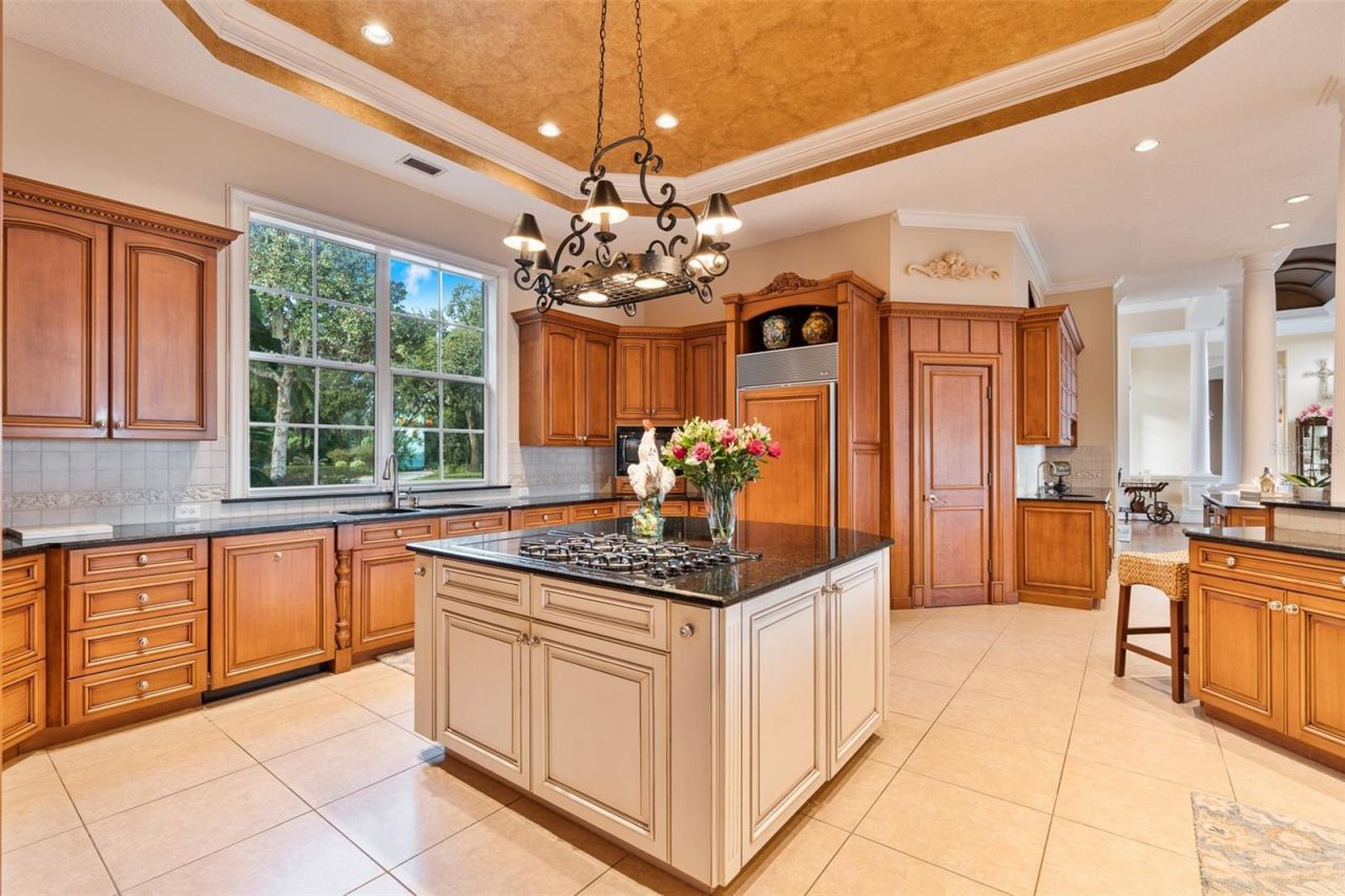 30215 Redtree Drive, Leesburg, FL 34748 Photo