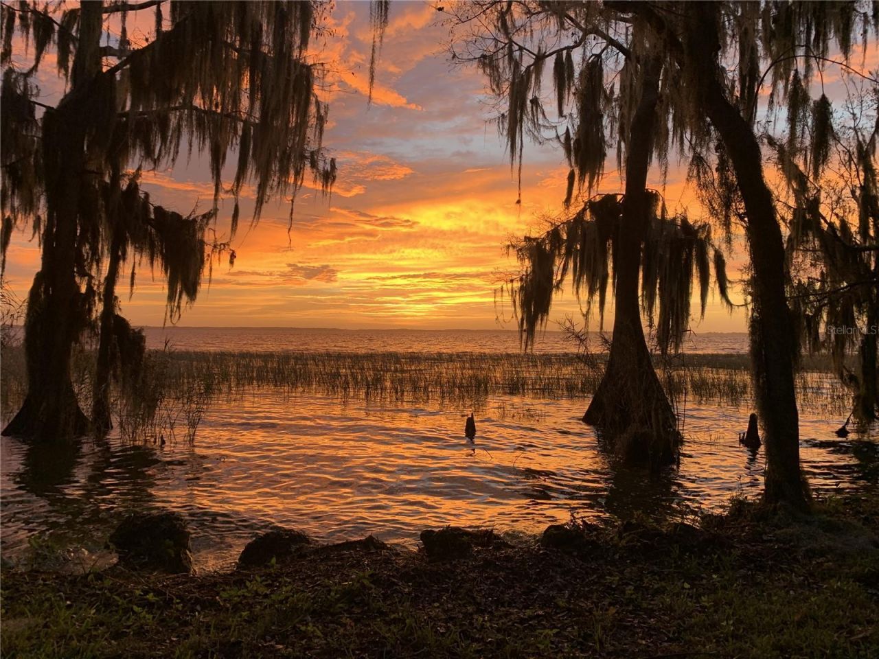 30215 Redtree Drive, Leesburg, FL 34748 Photo