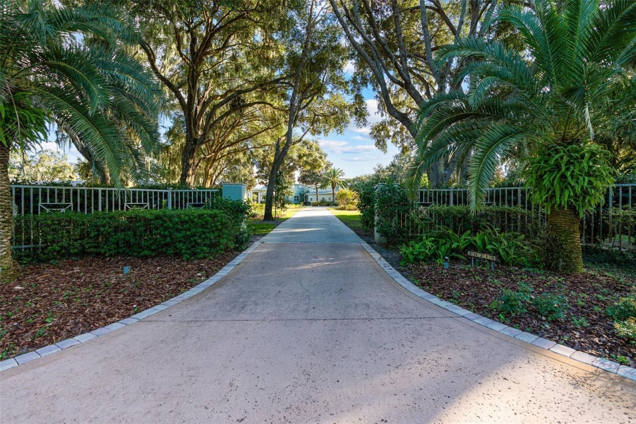 30215 Redtree Drive, Leesburg, FL 34748 Photo
