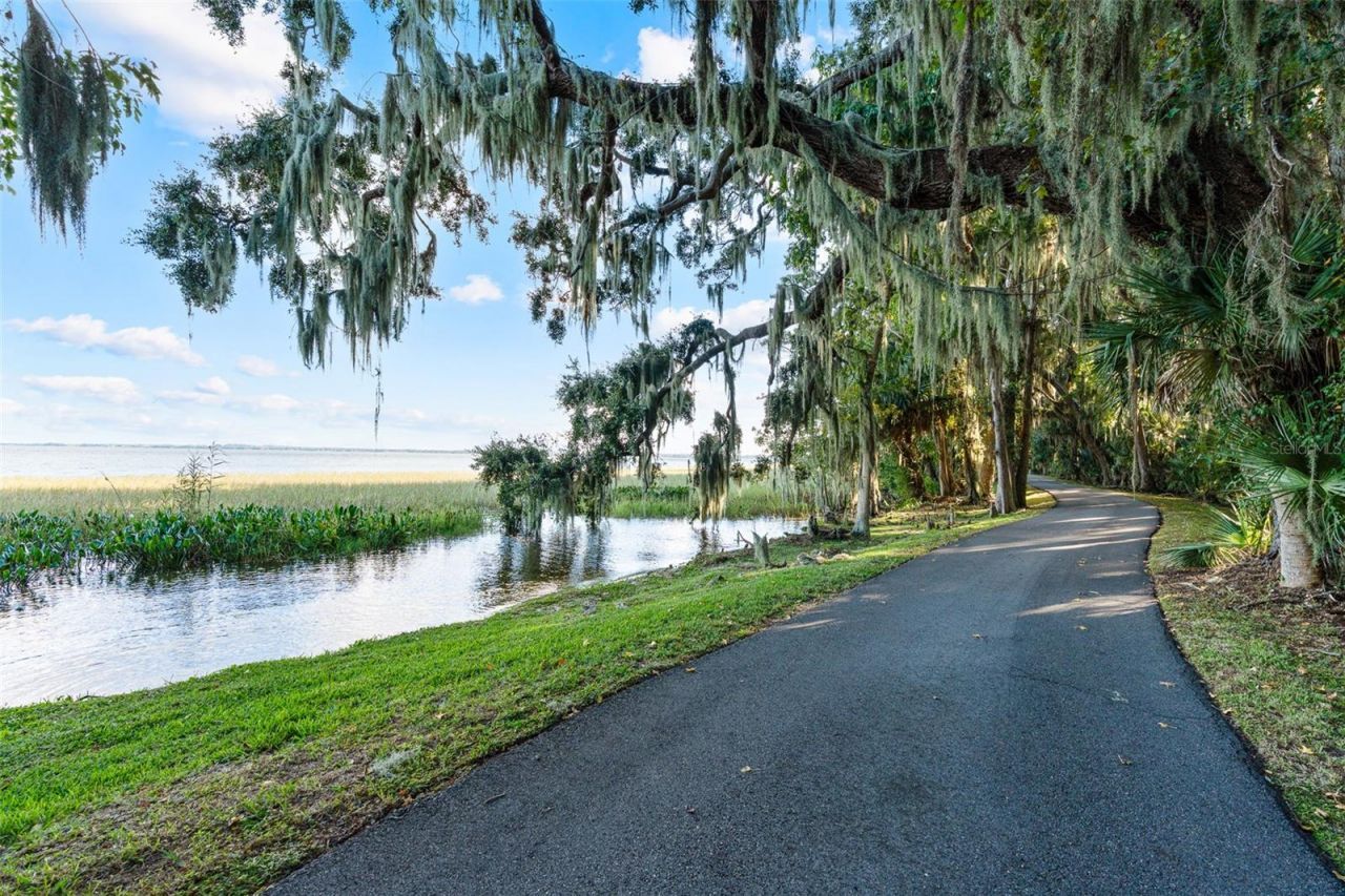 30215 Redtree Drive, Leesburg, FL 34748 Photo