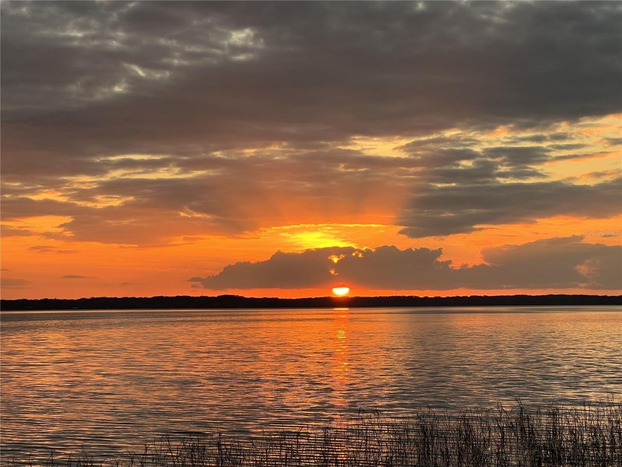 30215 Redtree Drive, Leesburg, FL 34748 Photo