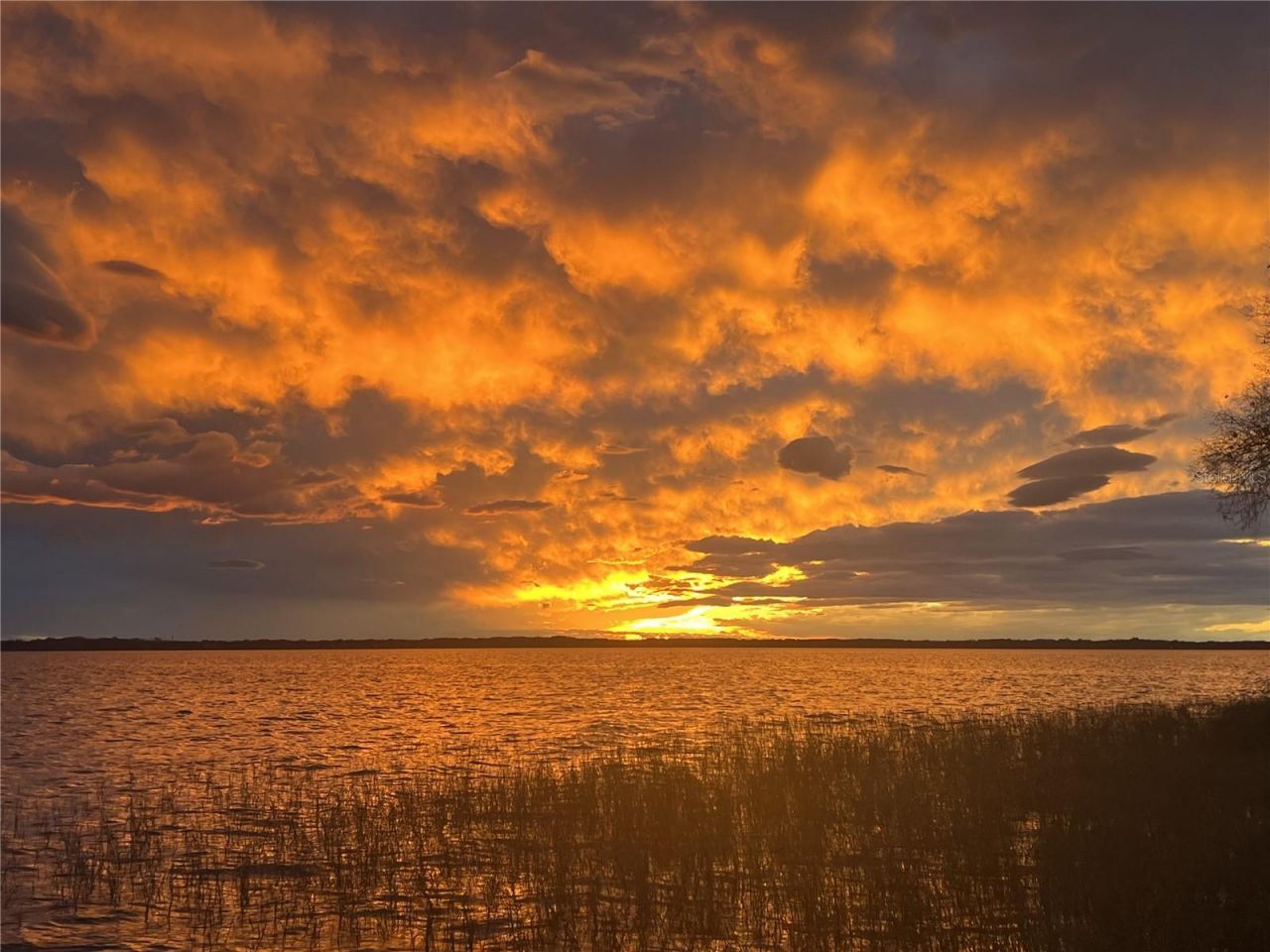 30215 Redtree Drive, Leesburg, FL 34748 Photo