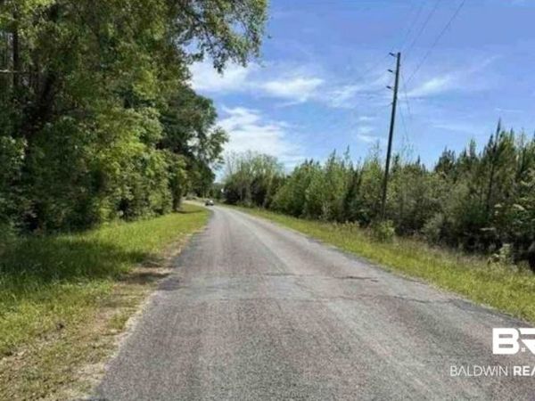 0 Horace Odom Road, Millry, AL 36558
