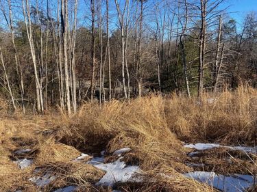 0 Wright Shop Road, Madison Heights, VA 24572