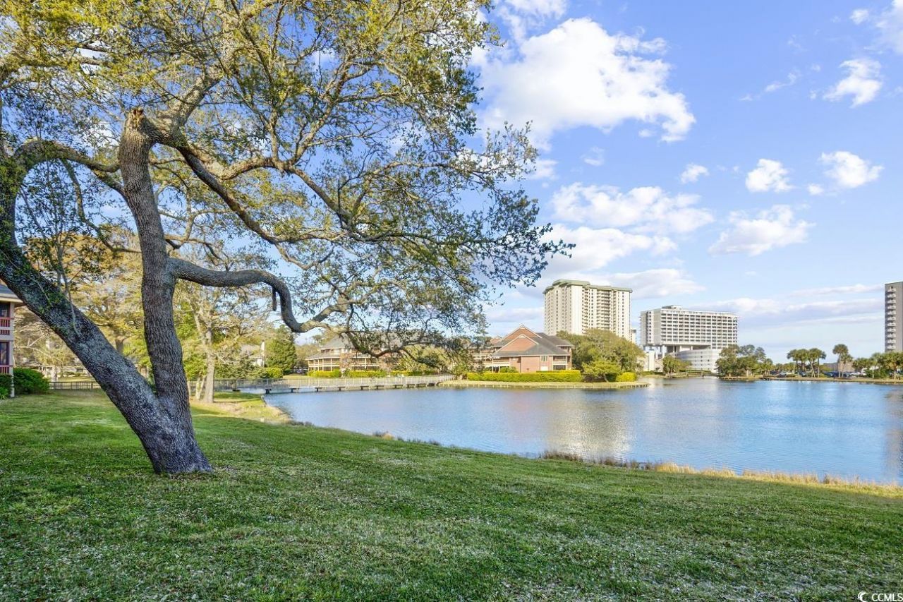 141 Hartland Dr. Photo 4