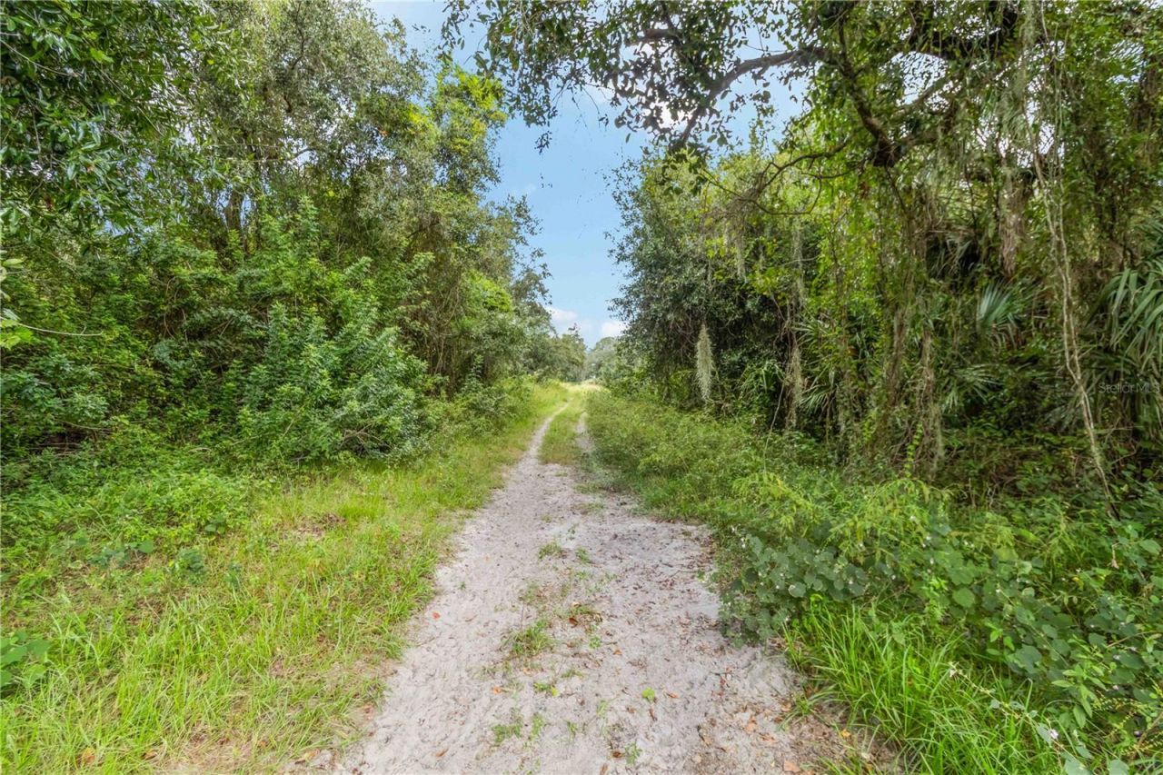 Sw Gordon Hay Road, Arcadia, FL 34269 Photo