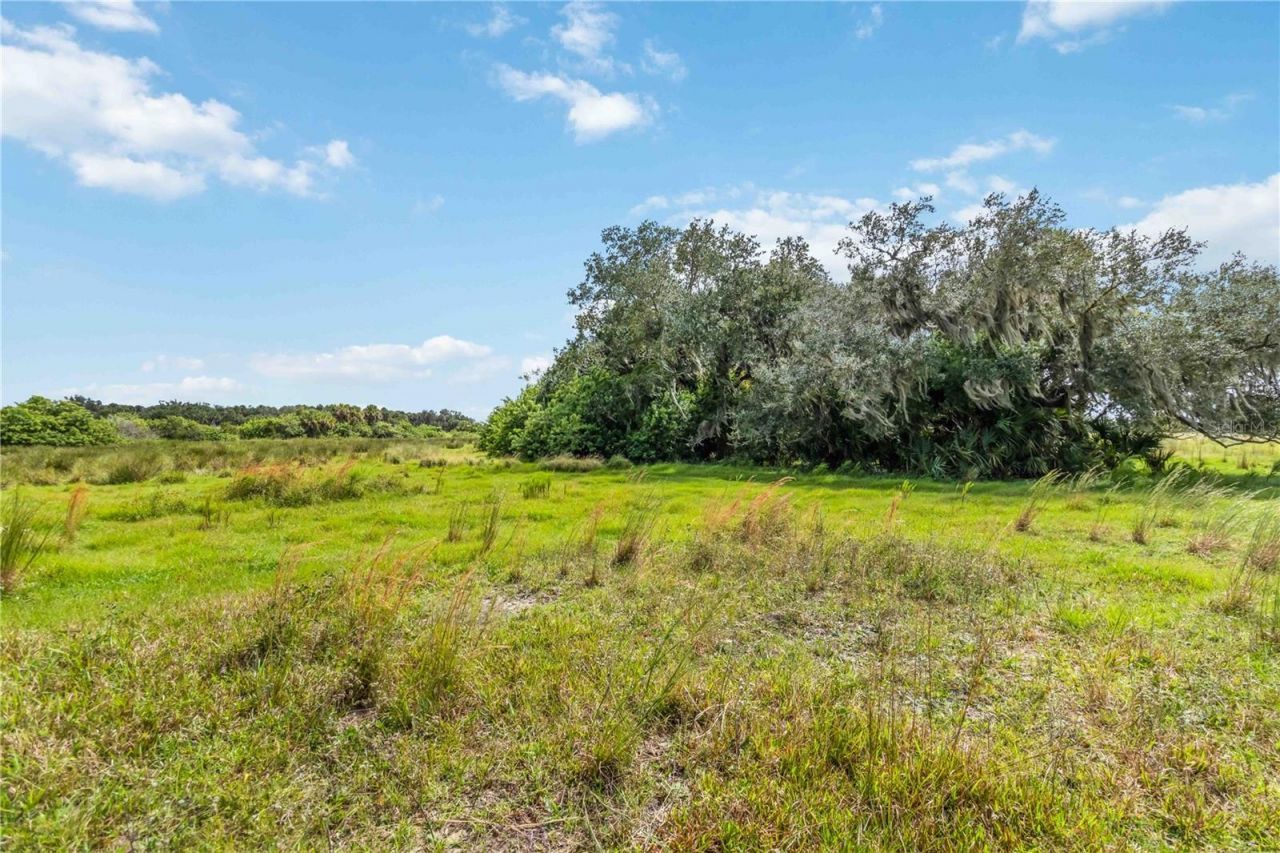 Sw Gordon Hay Road, Arcadia, FL 34269 Photo