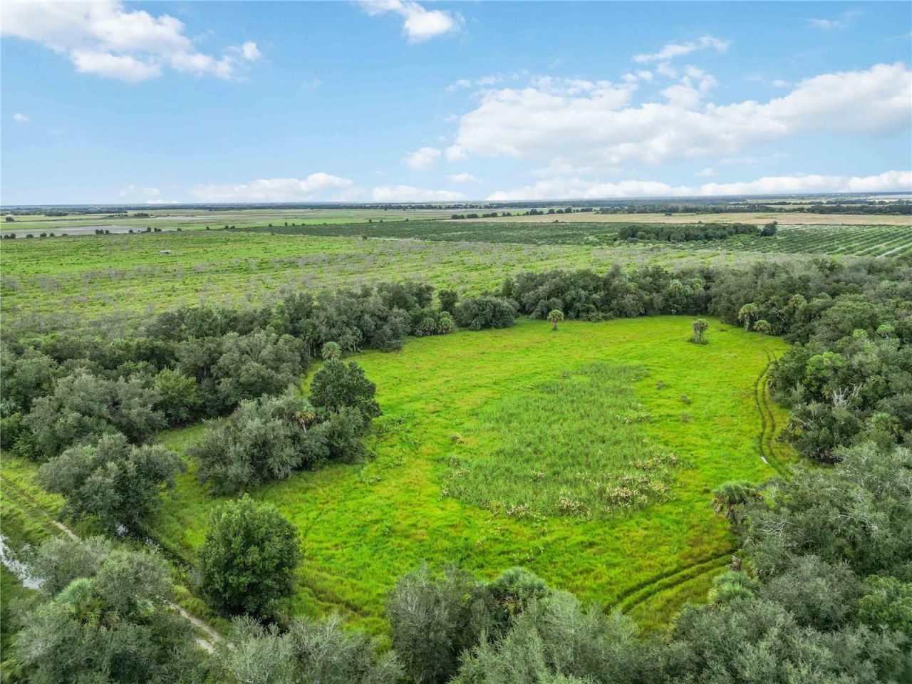 Sw Gordon Hay Road, Arcadia, FL 34269 Photo