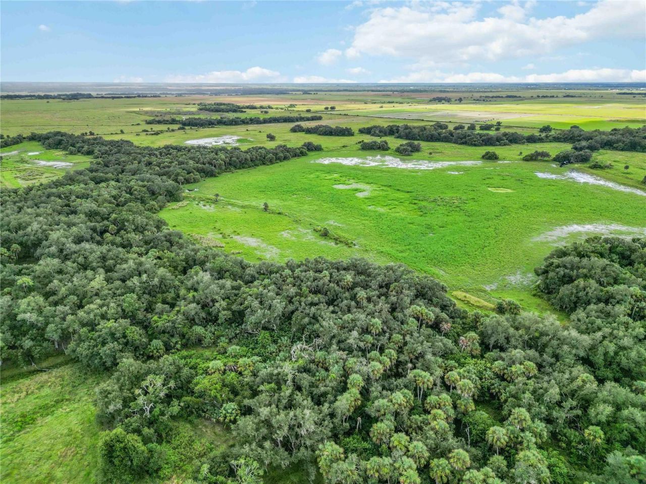 Sw Gordon Hay Road, Arcadia, FL 34269 Photo