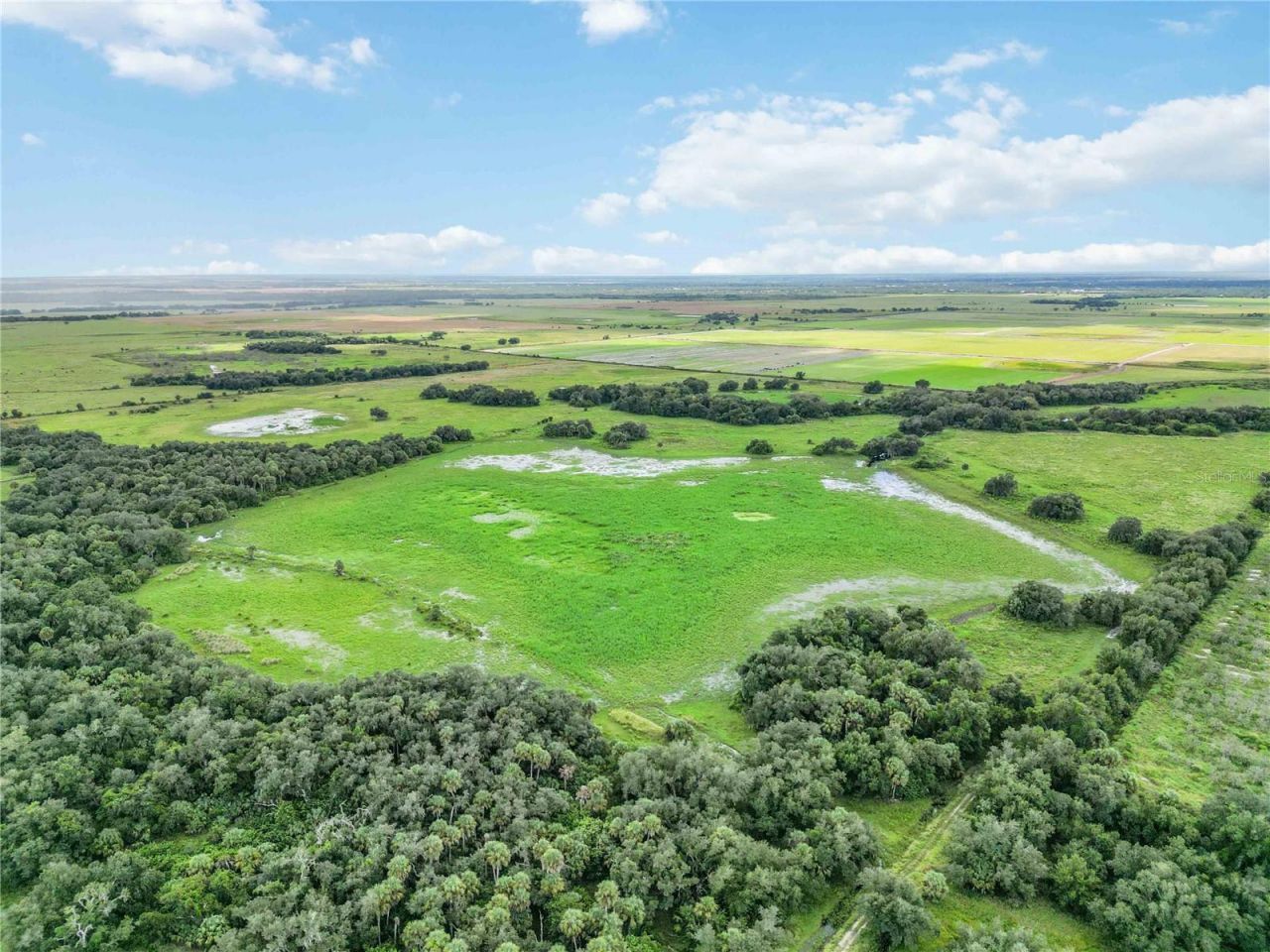 Sw Gordon Hay Road, Arcadia, FL 34269 Photo