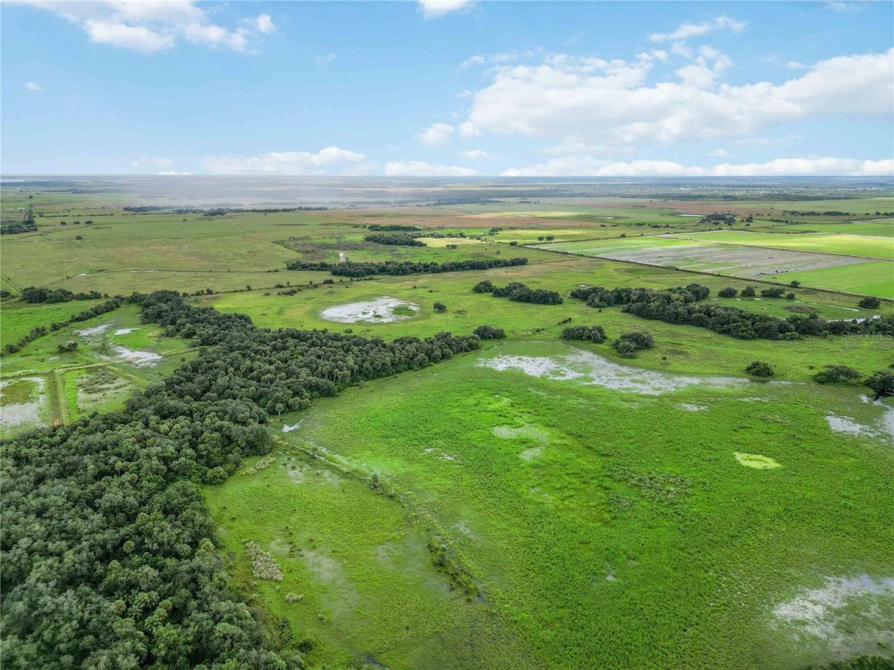 Sw Gordon Hay Road, Arcadia, FL 34269 Photo