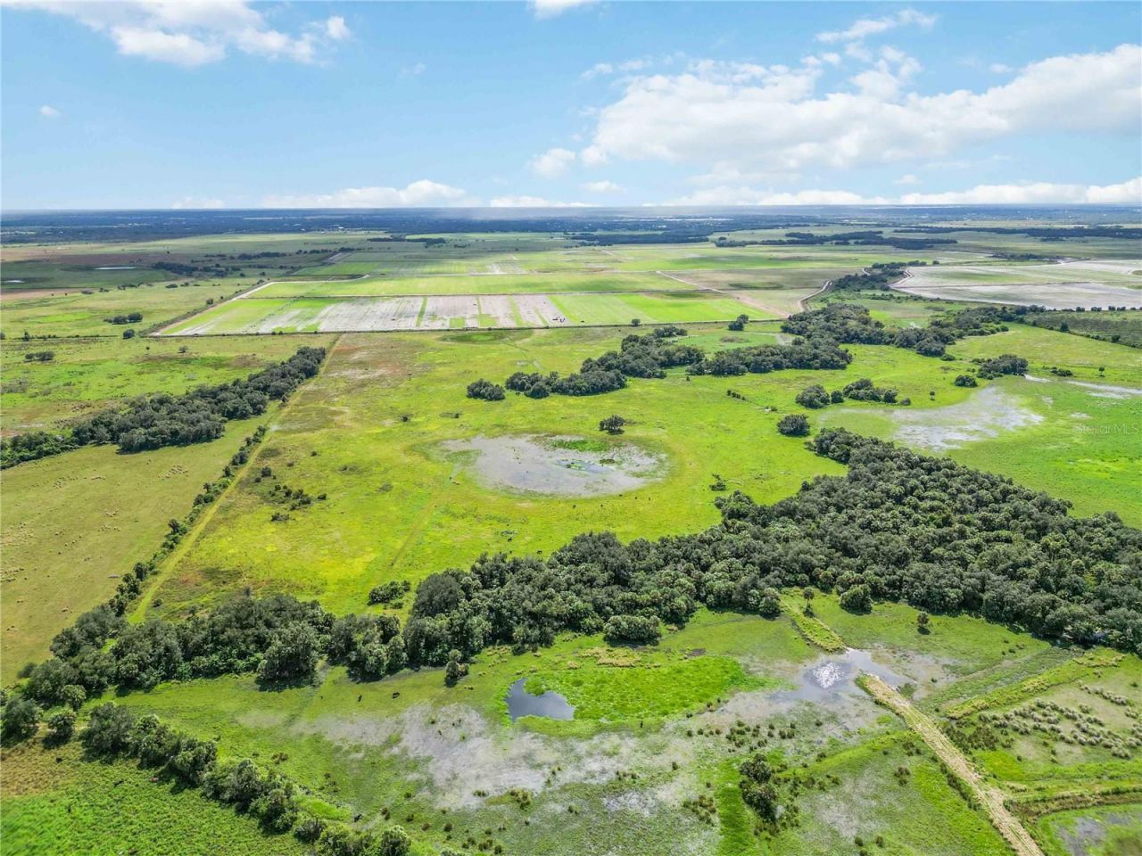 Sw Gordon Hay Road, Arcadia, FL 34269 Photo