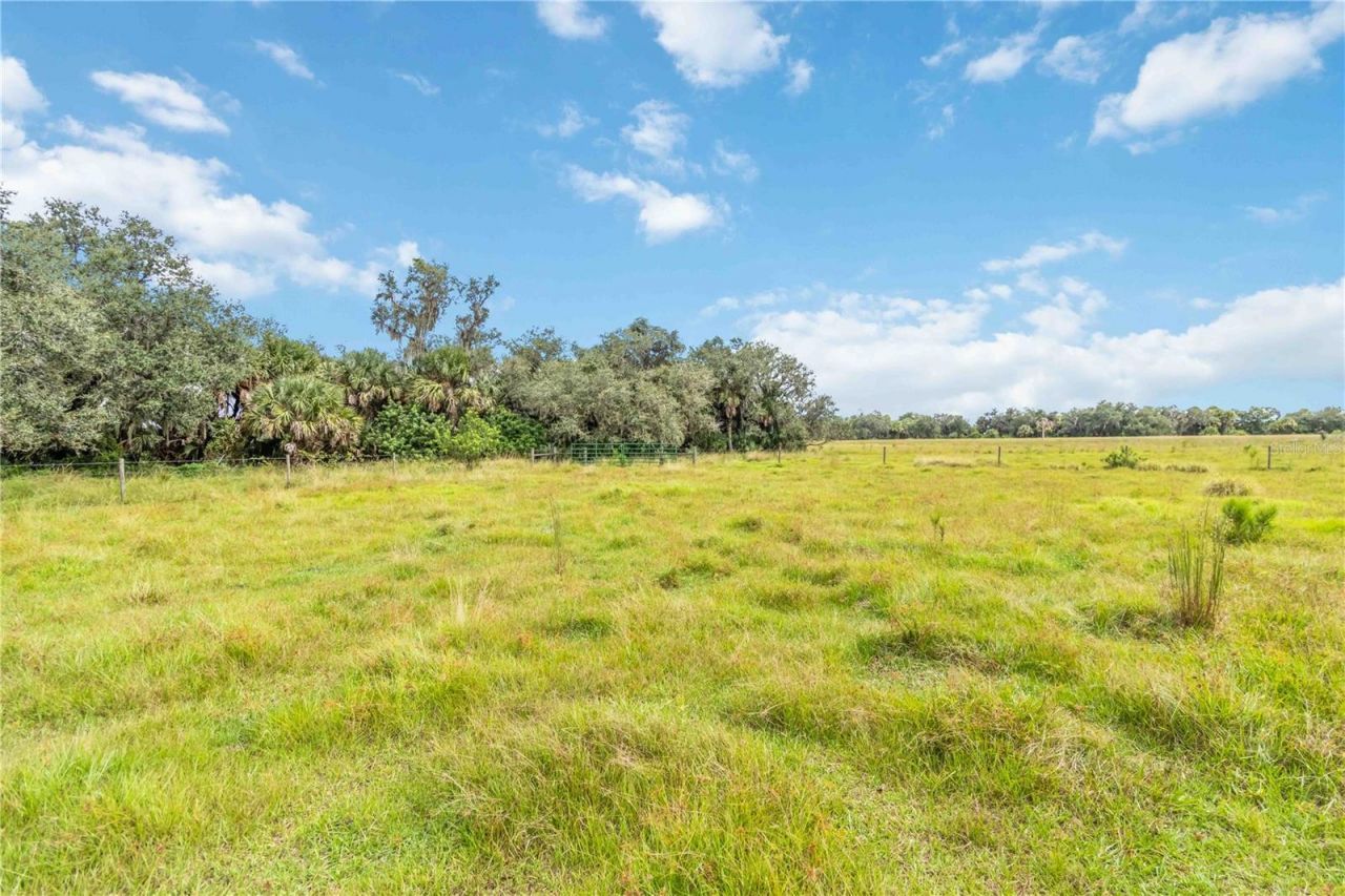 Sw Gordon Hay Road, Arcadia, FL 34269 Photo