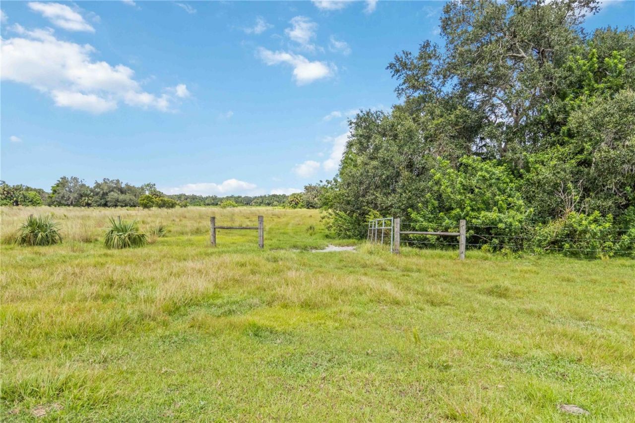 Sw Gordon Hay Road, Arcadia, FL 34269 Photo
