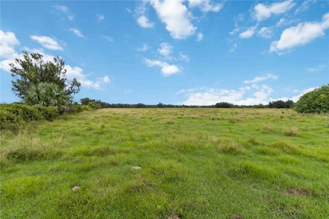 Sw Gordon Hay Road, Arcadia, FL 34269 Photo