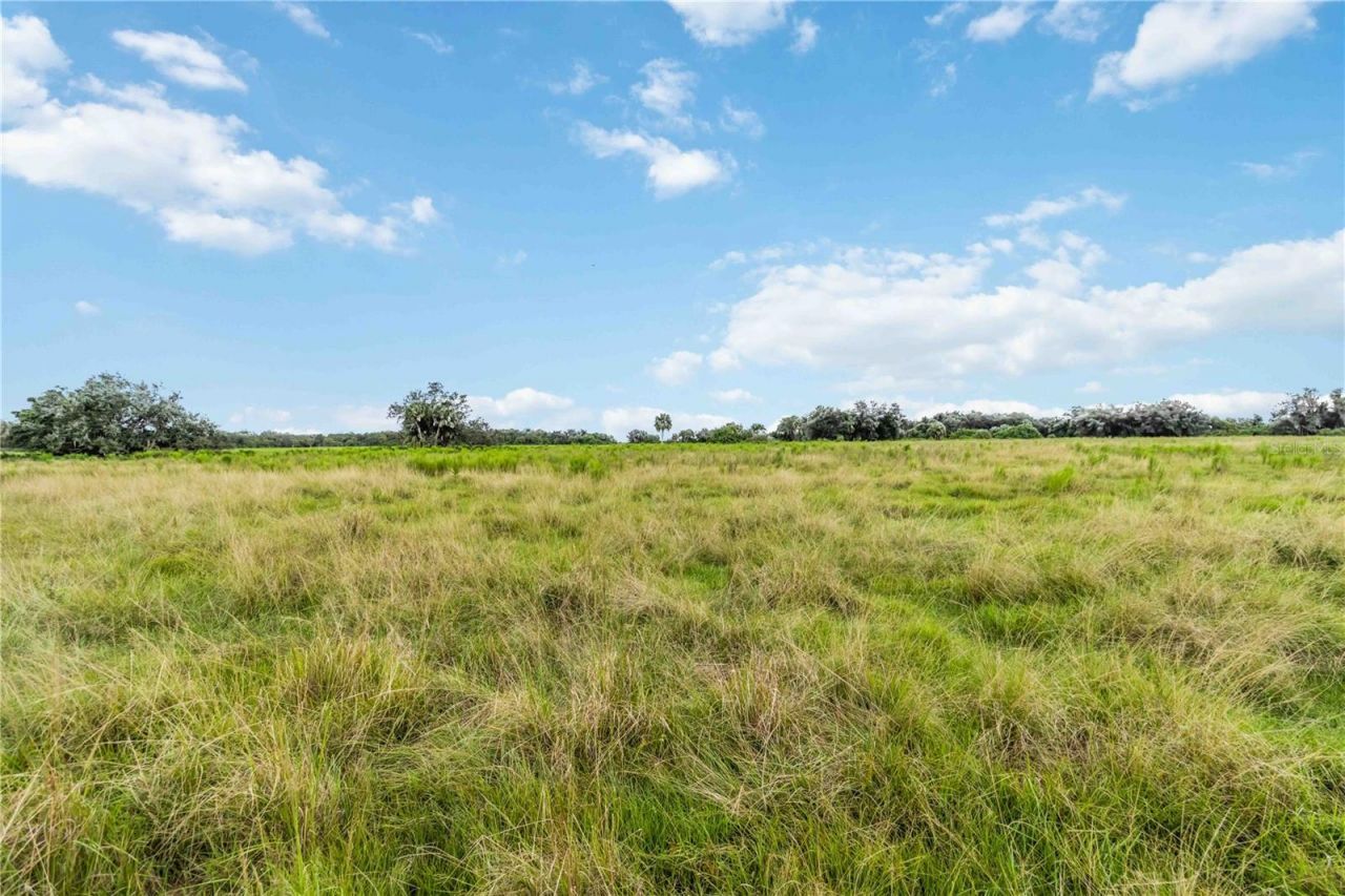 Sw Gordon Hay Road, Arcadia, FL 34269 Photo