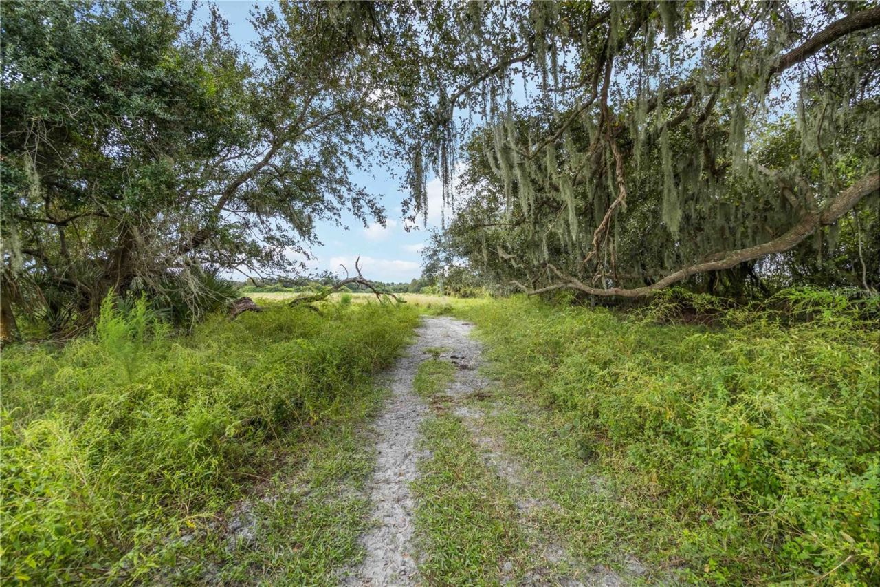 Sw Gordon Hay Road, Arcadia, FL 34269 Photo