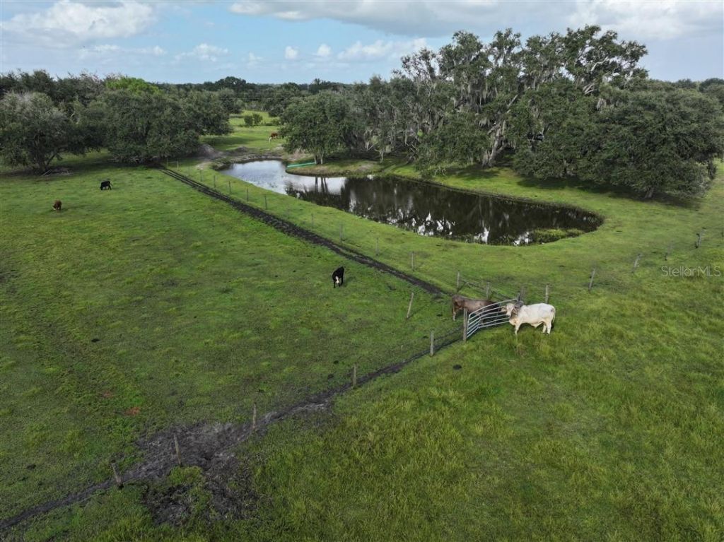 14935 Coker Gully Road, Myakka City, FL 34251 Photo