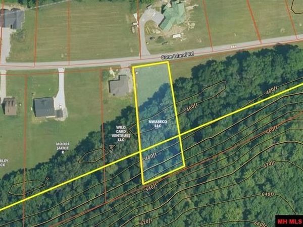 Lot 107 Cane Island Road, Flippin, AR 72634