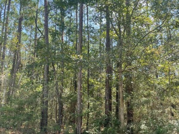 Lot 22 Sycamore Drive, Pass Christian, MS 39571