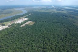 3300 Cypress Gardens Road  photo 4